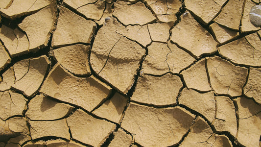 Cracked Heels & Vitamin Deficiency: Is There a Connection?